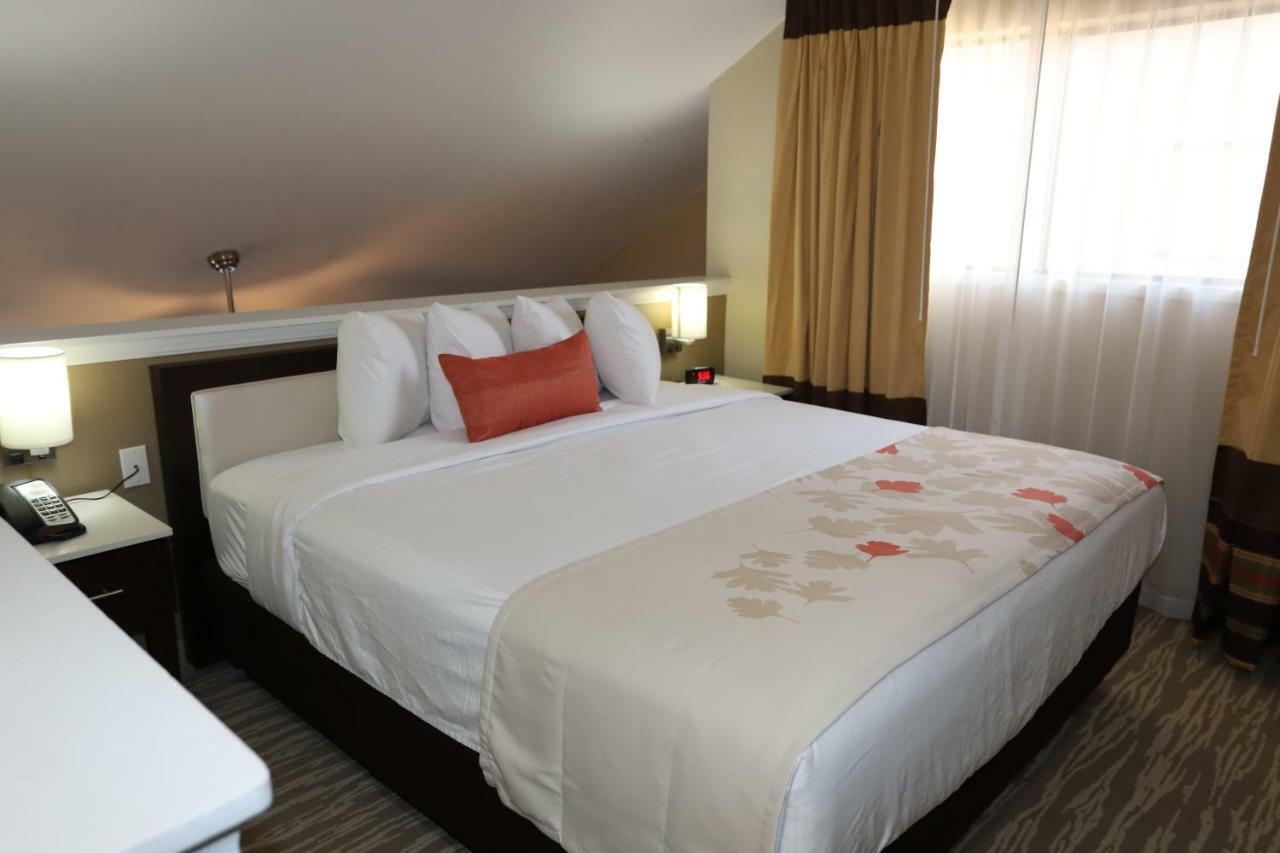Hawthorn Suites By Wyndham Detroit Southfield Extérieur photo
